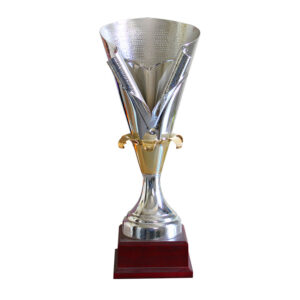 DESIGN LINE TROPHY AWARD 60CM